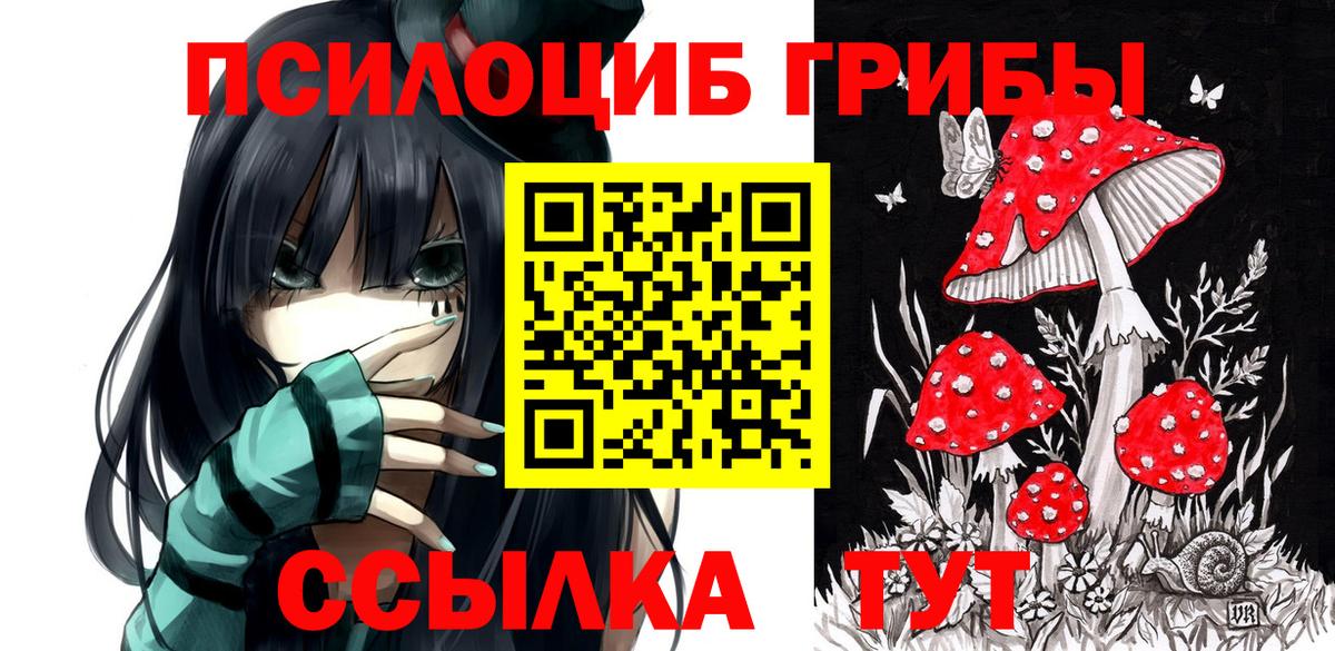 Родники  Псилоцибиновые грибы мухоморы  Псилоцибиновые грибы ЛСД  Вход с VPN 